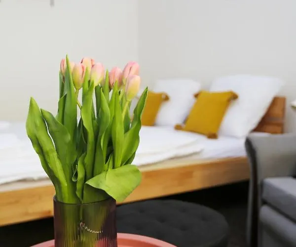 Apartament Kratka Sušice